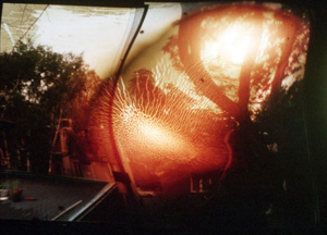 photographs of landscapes where the film has controlled burns