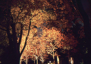 long outdoor exposures in October