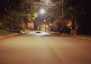 long outdoor exposures in October