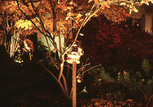 long outdoor exposures in October